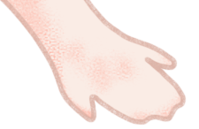 163431c7e7wet7sse76ttd.png