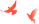 100957tzkof9xhvav2p5v3.png