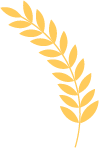 115950r75j6e9etjfbjg5e.png