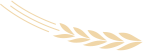 175352q3l230yeznjjnyex.png