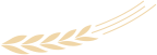 175352rbqs4e44s7f4ex5b.png