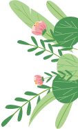 164458efxmrfg4plpgjzjx.png