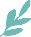 164503wkgyytyykkmvzpy7.png
