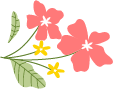 164531d33ooxtlkllbr3in.png