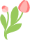 145615sted3035y1pfm9i9.png