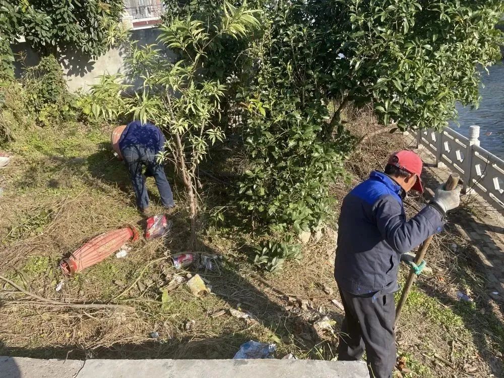 091855w6hlph8e4hhl0h03.jpeg