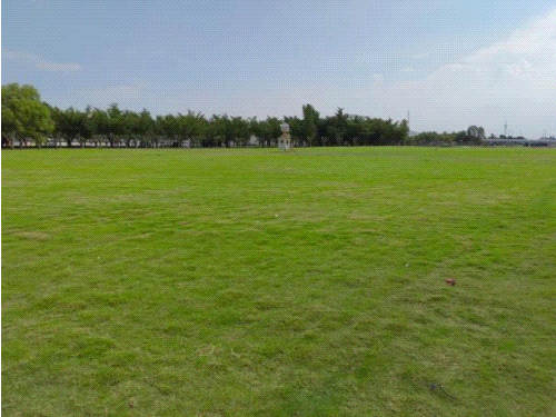 172100kcpk84l44l8jzy84.gif