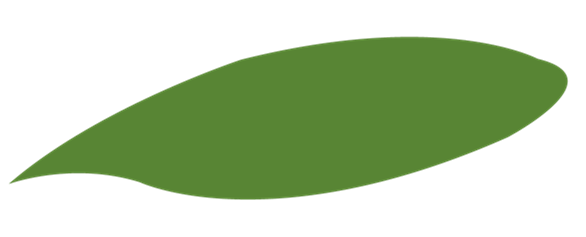 172048rnuwqcyqg0u0ei9x.png