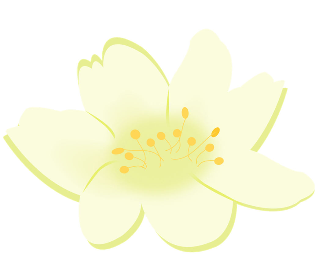 172048v1e6ox13fm3x1p40.png