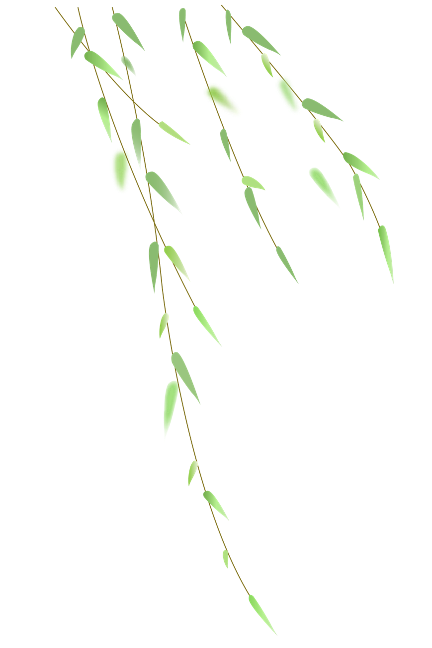 172050kefyfdfaa8qkzf3y.png