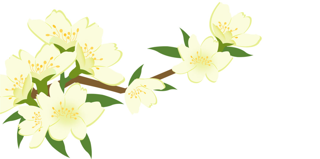 172054w9k5tc3n5a91b284.png