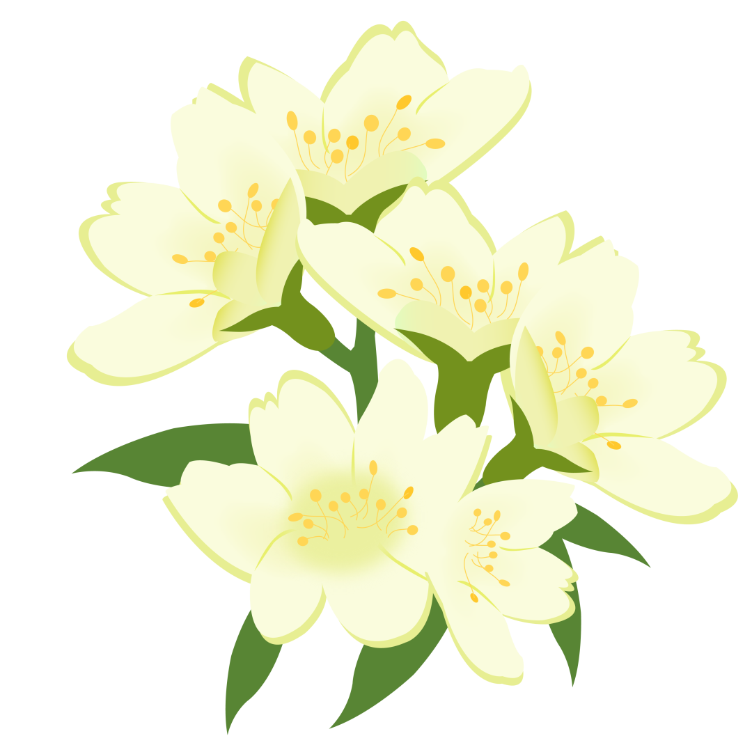172054r8lxvxi3a6nvlxlw.png