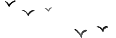 092639g888224i4jbzwcow.png