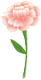 084432sms4m5xaqqnmzmm4.png