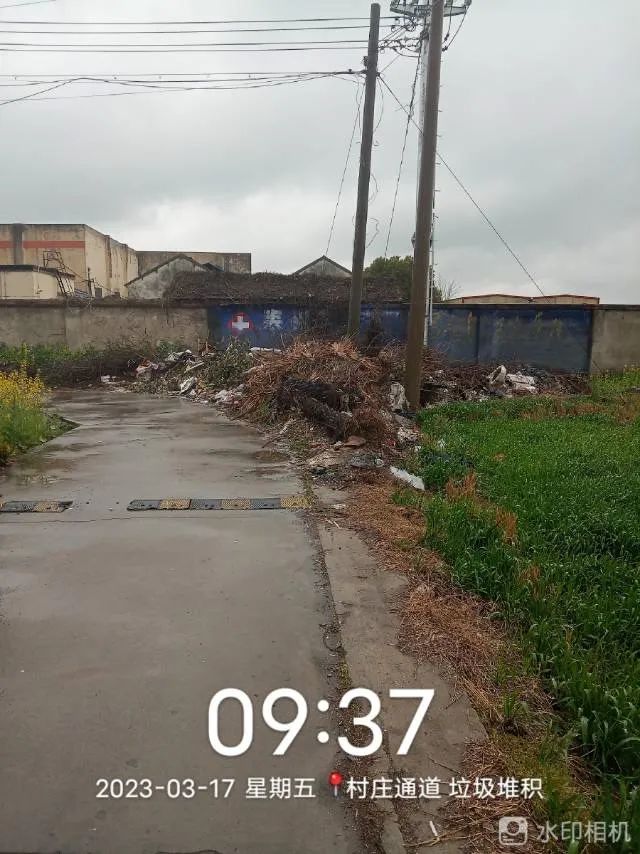 114125kigeh5qtrcxmzt9e.jpeg