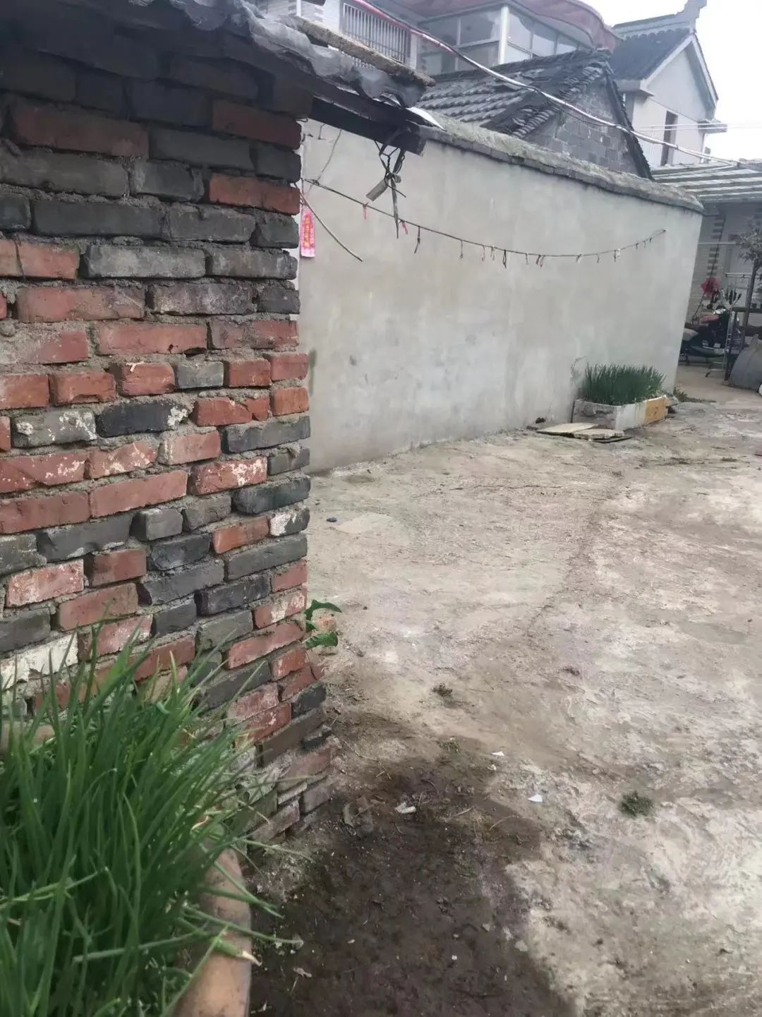 114135zzydhbryxxyjmcz0.jpeg
