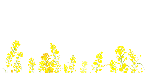 173135ijo0yvoui7czzrjz.png