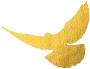 152757aamhtemgn0praeed.png