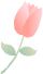 104113rcrg1iigqqx81tet.png