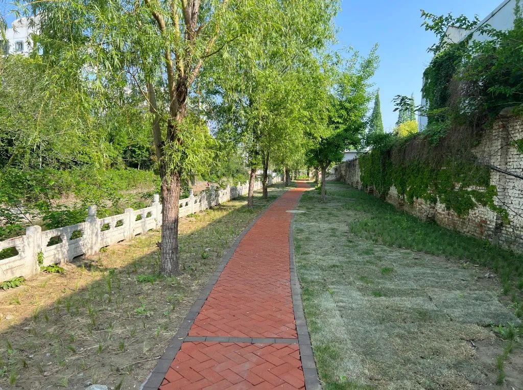 084308ctvgmsxsezrohsvy.jpeg