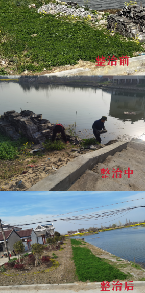 174817c76q4zj47eedyeo5.png