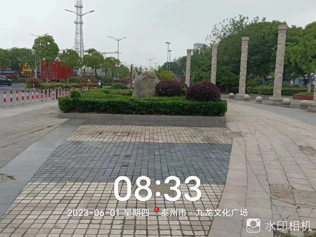 084034fcsoma943olmllf9.jpeg
