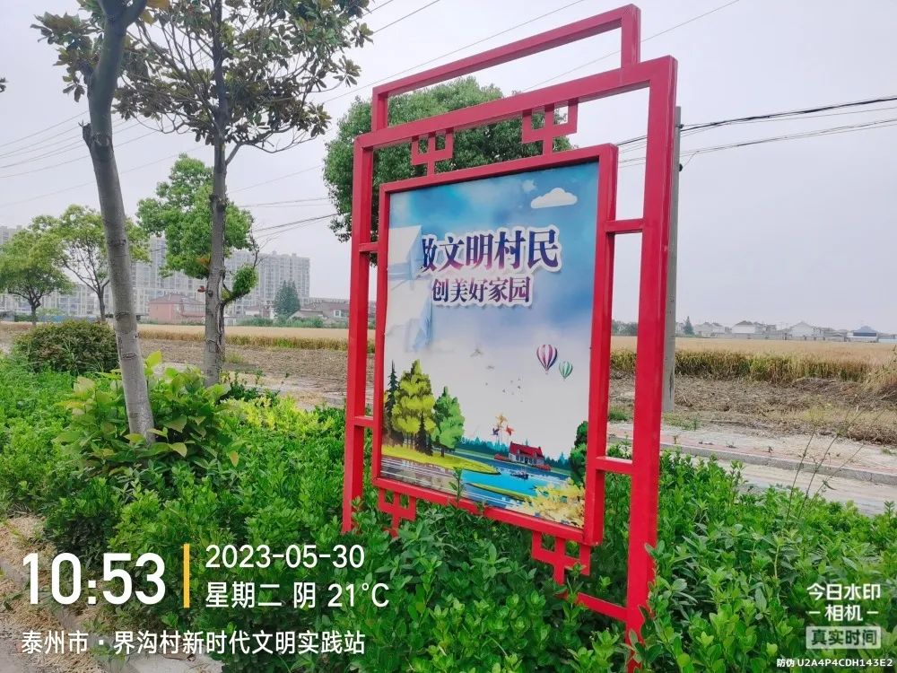 084105nsh288y2p68nwp62.jpeg