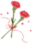 172132piqau2m2hdh1hhi3.png