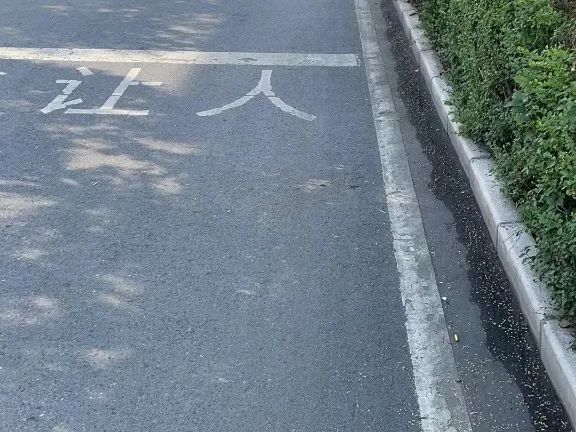 084118sk8nzwhka8wea7l8.jpeg