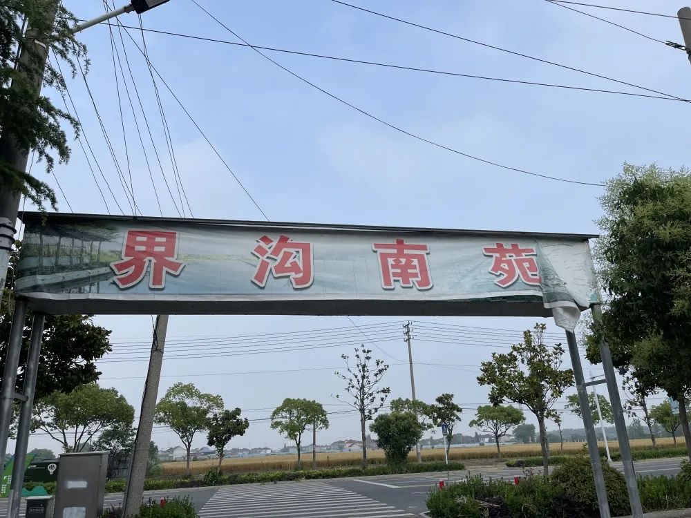090546tyzy884z61848j55.jpeg