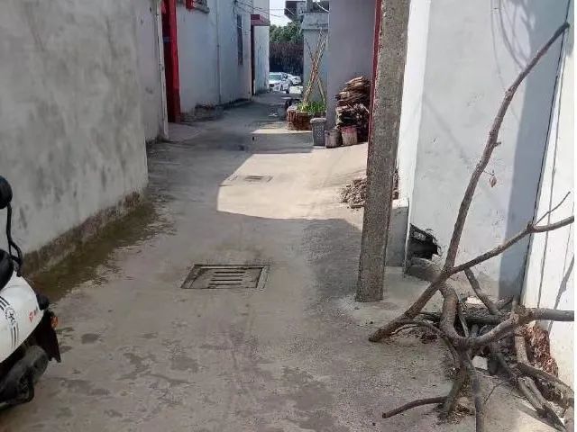 091047q96lhx9hk65jphpv.jpeg