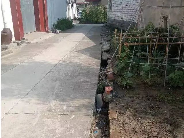 091048omyect003m84d3kq.jpeg