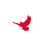 092505ca7gl66lzb0lptb6.gif