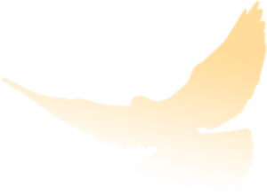 174812c7bctsbs7yreyipu.png