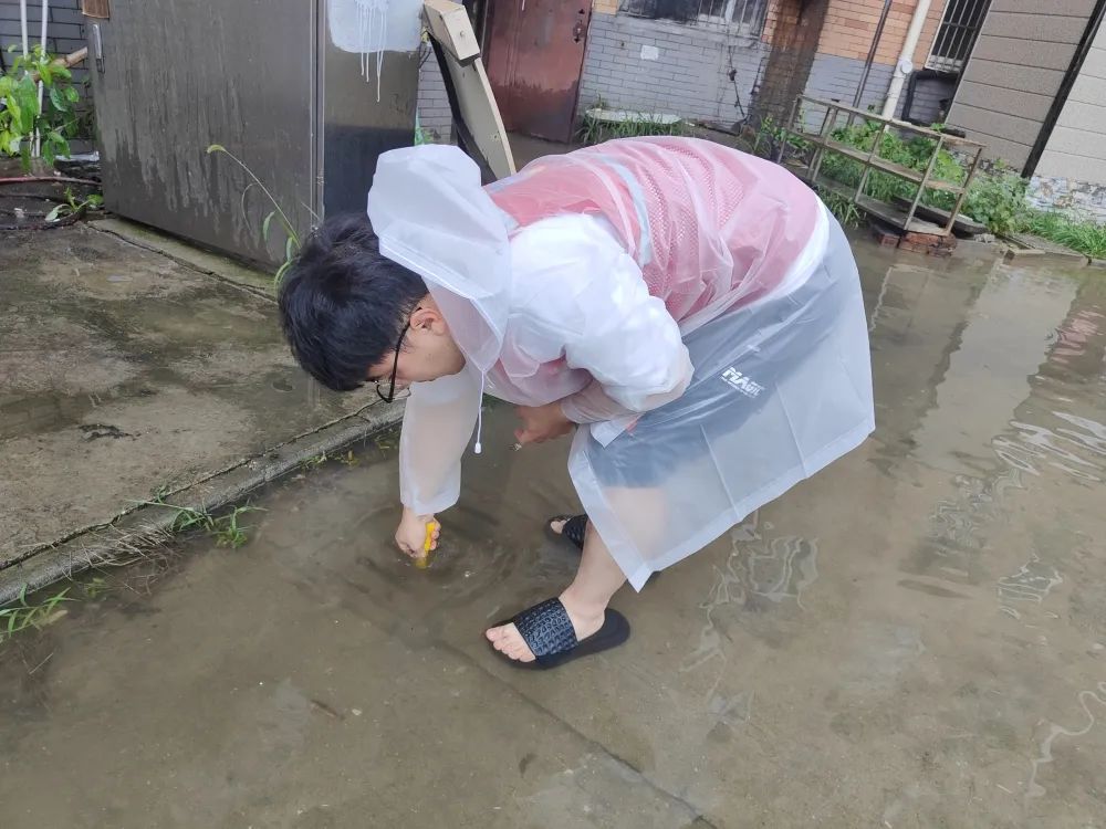 102321r7ql7zqs2njijn21.jpeg