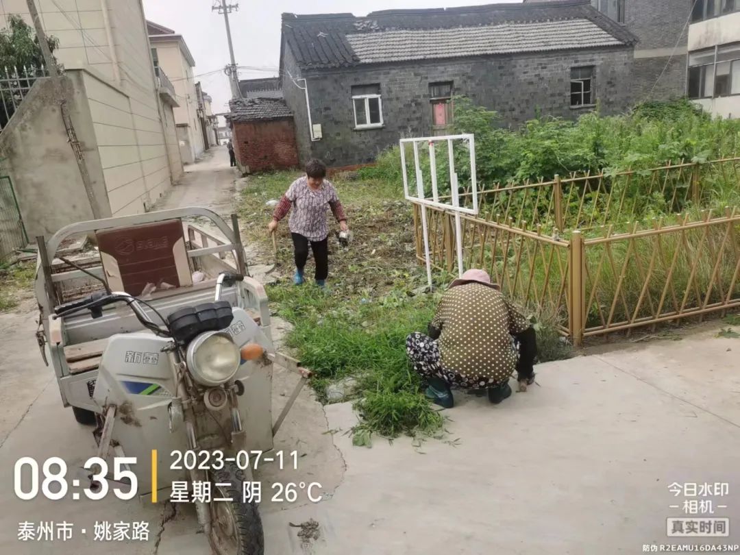091900m4s1bib1212ss288.jpeg