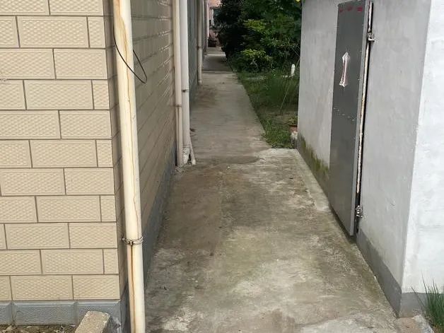 090358cbz4dkdl8tlgk8zt.jpeg