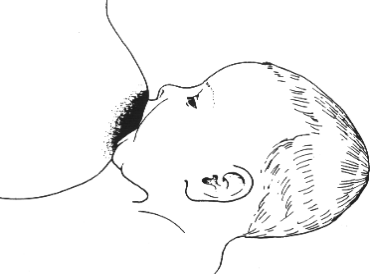 171642w7wtpwb7pp95geww.png