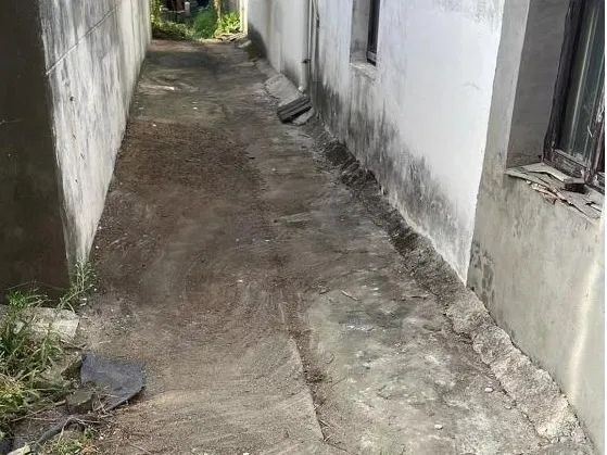 115129lxf7i7v6xv4w6izb.jpeg