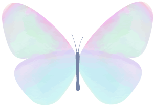 153229c8px44t9hejxgir9.png