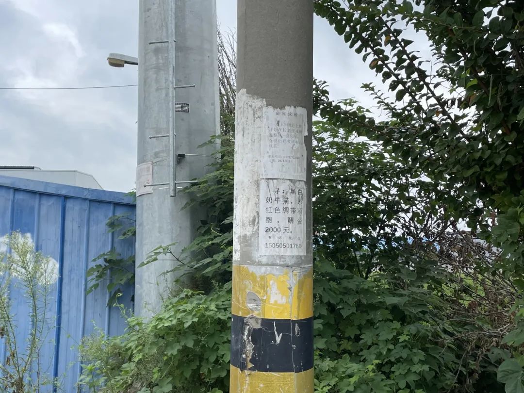 105120c633xzm6xe31j071.jpeg