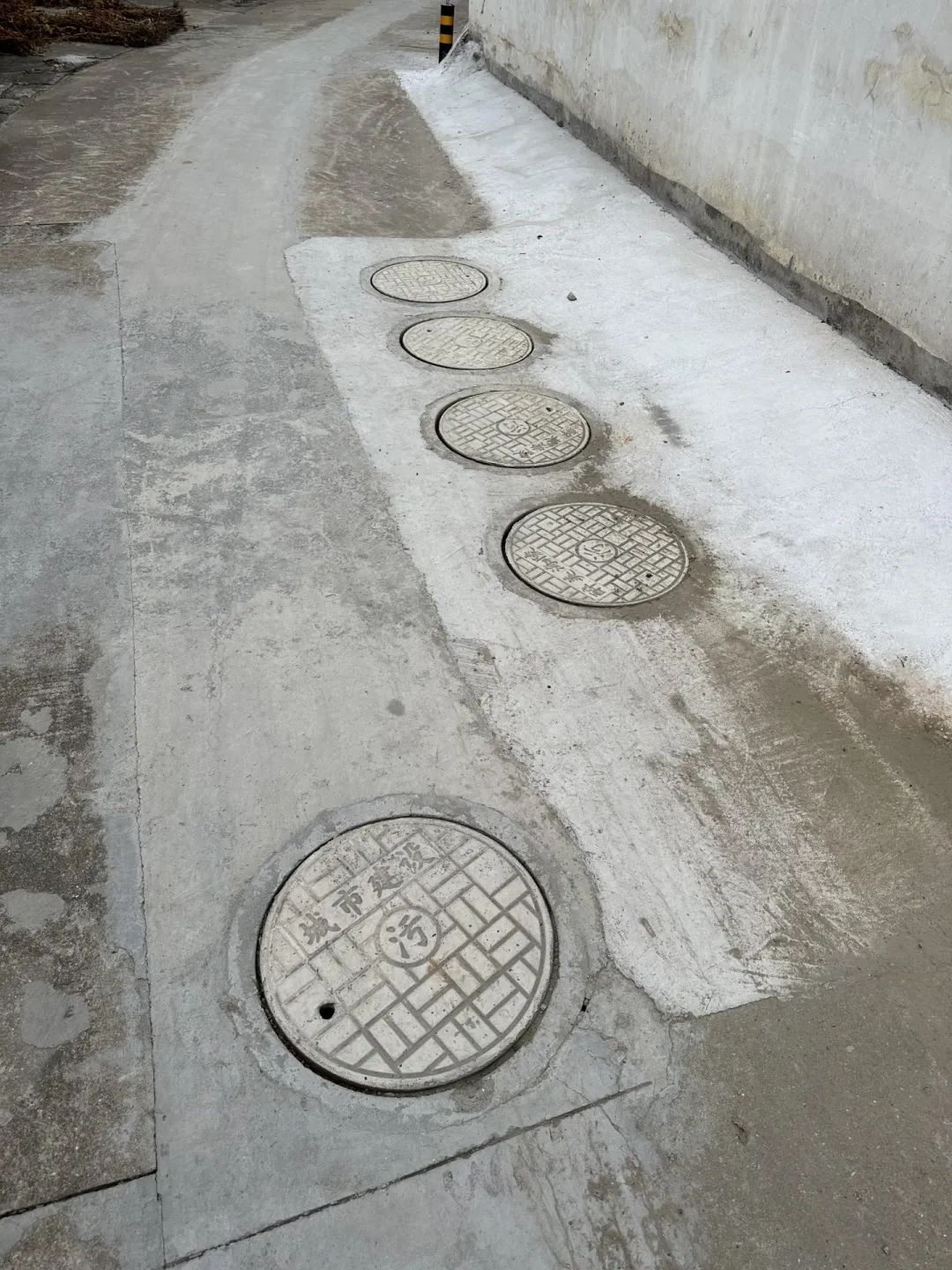 095026w3eg3qvvo2kuaomw.jpeg