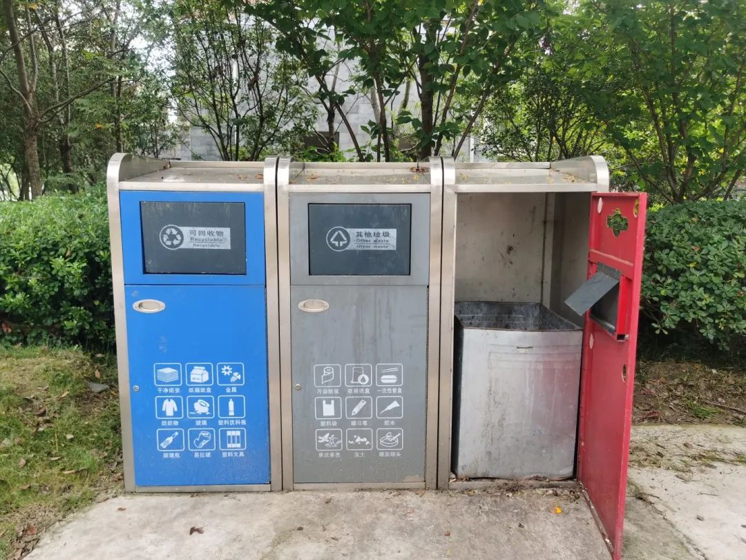 084453zha8vub0b63uyb3a.jpeg