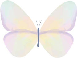 113050ppcglcatlup9zjlf.png