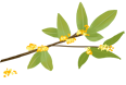 103617afxo85aiuu5xx7as.png