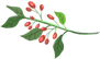 104827kt39tq53jvv56zgz.png