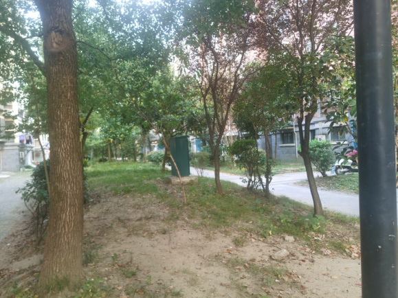 093506cpwxtd1ocxmoleew.png