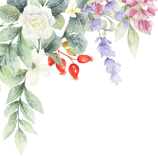 174121o6n94v6ky99q9qvv.png