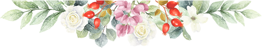 174140amqqax0oaof2dtdq.png