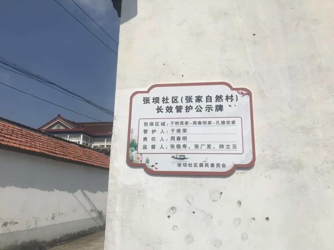 134735c9abzaj9g473pb3a.jpeg